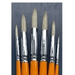 ALESANDRO BRUSHES ALESANDRO Alesandro 3100 Bristle Round Set 5