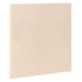 ALESANDRO CANVAS ALESANDRO Artist Birch Panels 20mm Depth 10 Pack