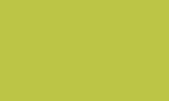 CARAN D’ACHE CARAN D’ACHE Luminance 6901.015 Olive Yellow Caran D’Ache LUMINANCE 6901