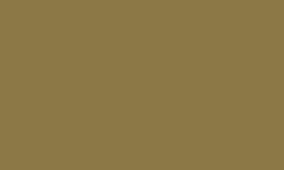 CARAN D’ACHE CARAN D’ACHE Luminance 6901.039 Olive Brown Caran D’Ache LUMINANCE 6901