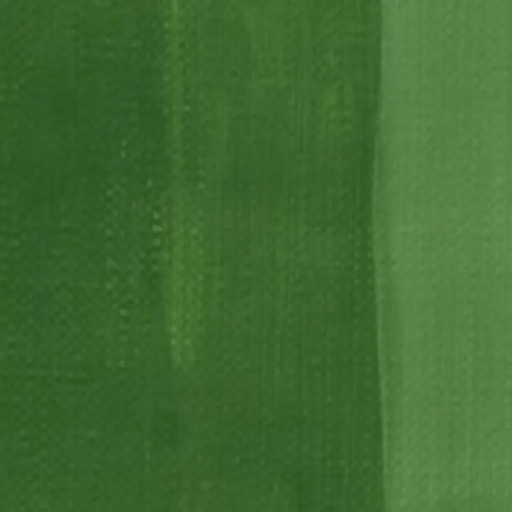 Charvin ExFine Oil Chromium Oxide Green - The Sydney Art Store