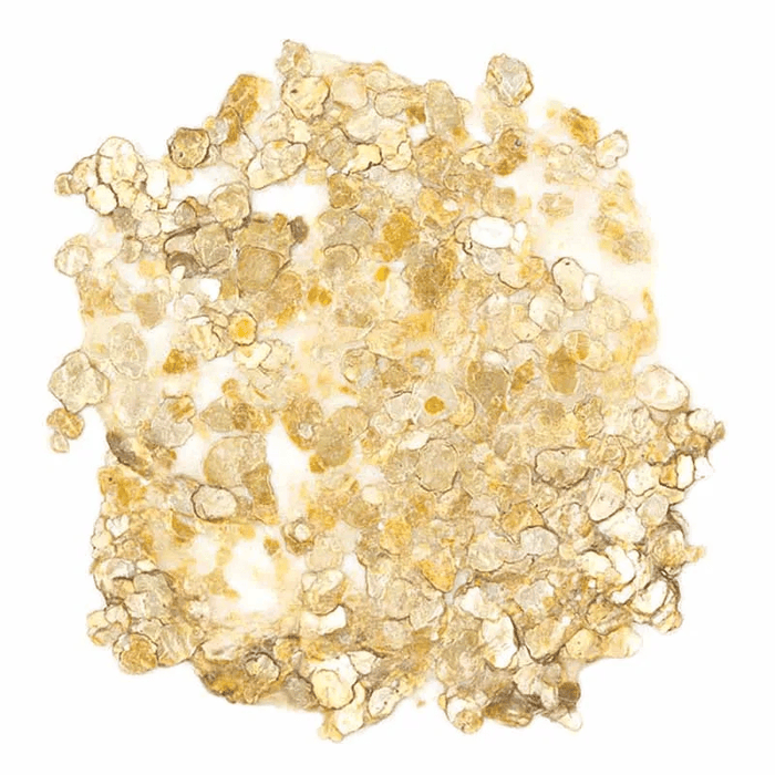 Golden HEAVY BODY Gold Mica Flake Large