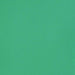 LIQUITEX BASICS LIQUITEX Liquitex Basics Bright Aqua Green