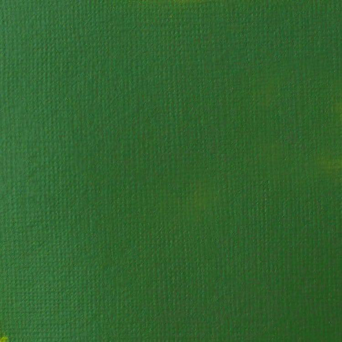 LIQUITEX BASIC FLUID LIQUITEX LQX Basics Acr Fluid 118ml Hooker’s Green Hue Permanent