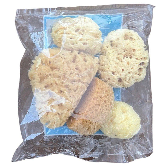 Natural Sea Sponge Pack of 5