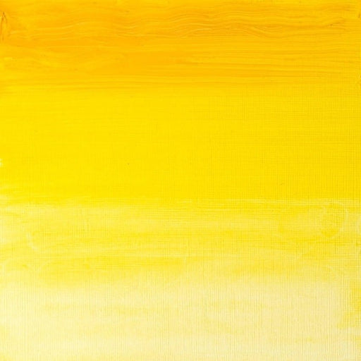 WINSOR & NEWTON ARTIST OILS WINSOR & NEWTON W&N Artist's Oil 37ml Transparent Yellow 653