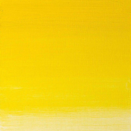 W&N Artist's Oil Winsor Yellow 730 - The Sydney Art Store