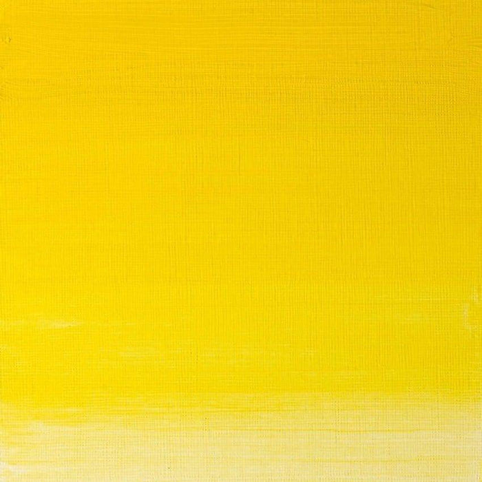 W&N Artist's Oil Winsor Yellow 730 - The Sydney Art Store