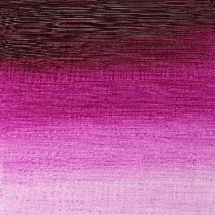 W&N Artist's Oil 37ml Magenta 380