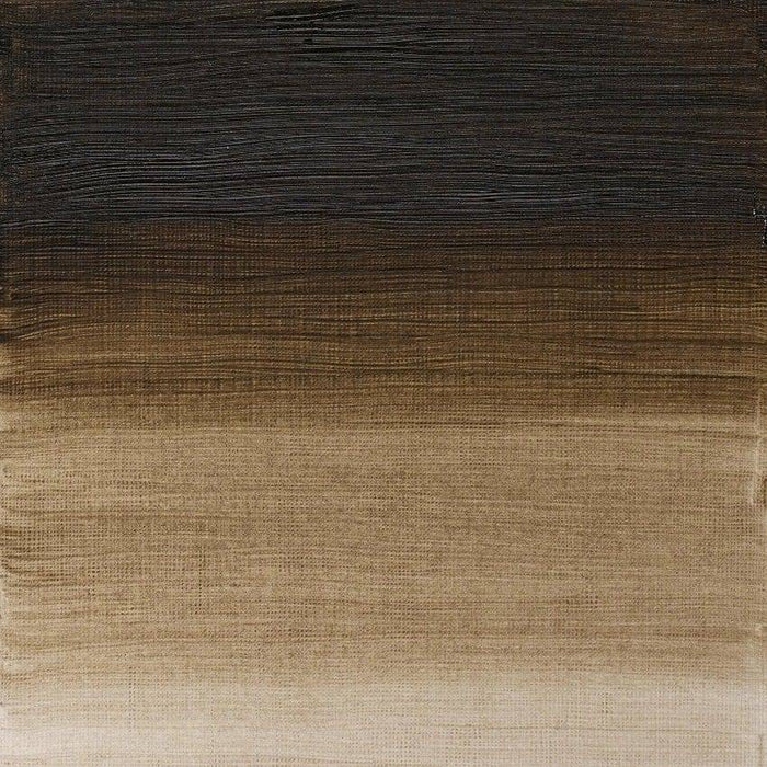 W&N Artist's Oil 37ml Raw Umber (Green Shade) 558