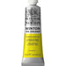 WINSOR & NEWTON WINTON WINSOR & NEWTON Winton Oils Cadmium Lemon Hue 087