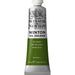 WINSOR & NEWTON WINTON WINSOR & NEWTON Winton Oils Sap Green 599